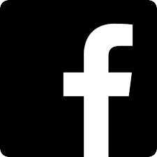 facebook van Strien